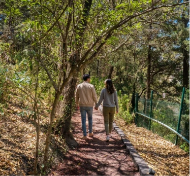 Bosque privado Tres Cumbres Santa Fe